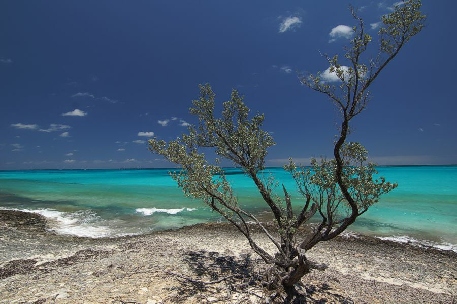 Click to See Next Image